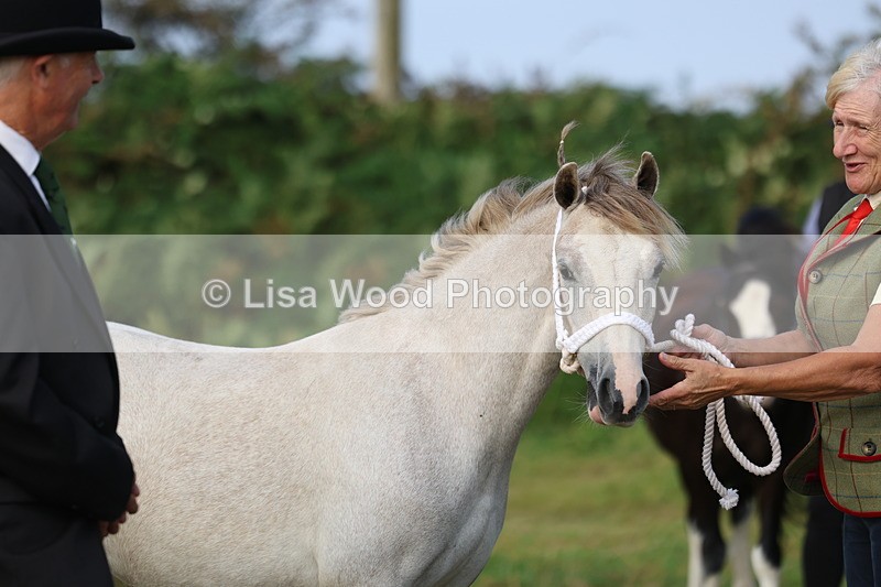 3E7A3259 - Class 12: M & M Small Breeds