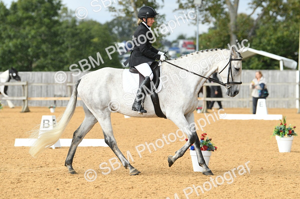 SBM_11177 - D28 Elementary Taster Elementary 42