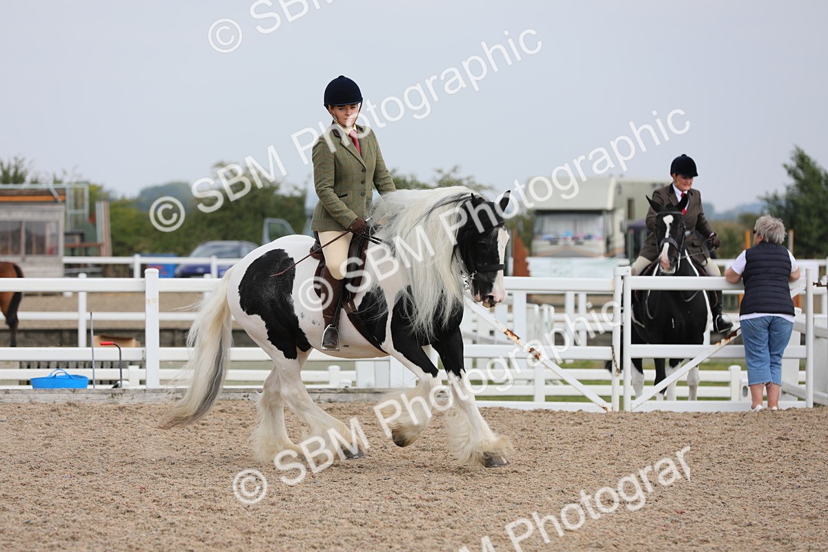SBM_12803 - Class 307 Ridden Coloured Pony