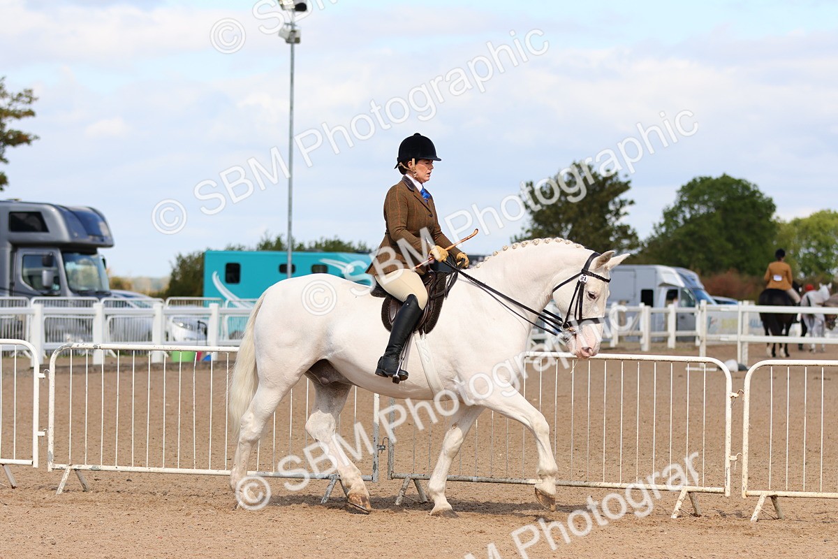 SBM_13474 - Class 212 - Ridden Hunter  - Large
