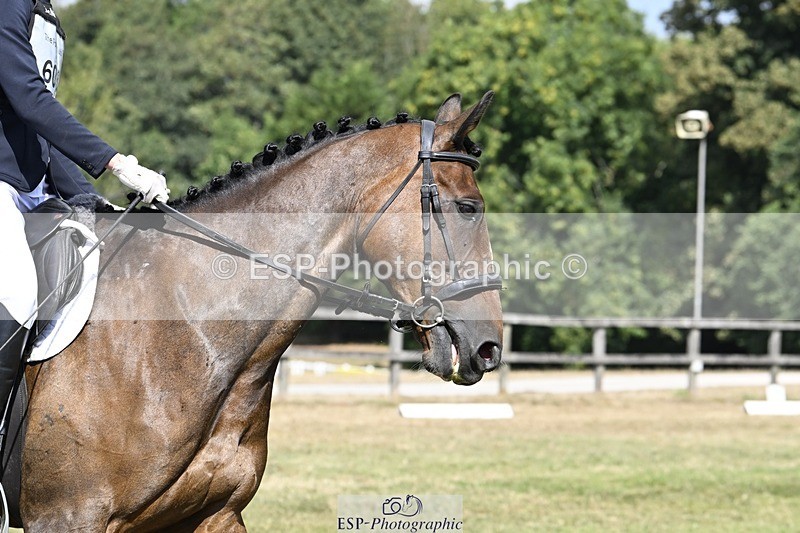 250822A-113236-22267 - DR 11.00 to 12.00