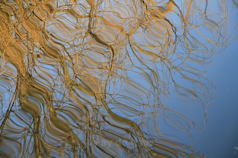  - Water gazing