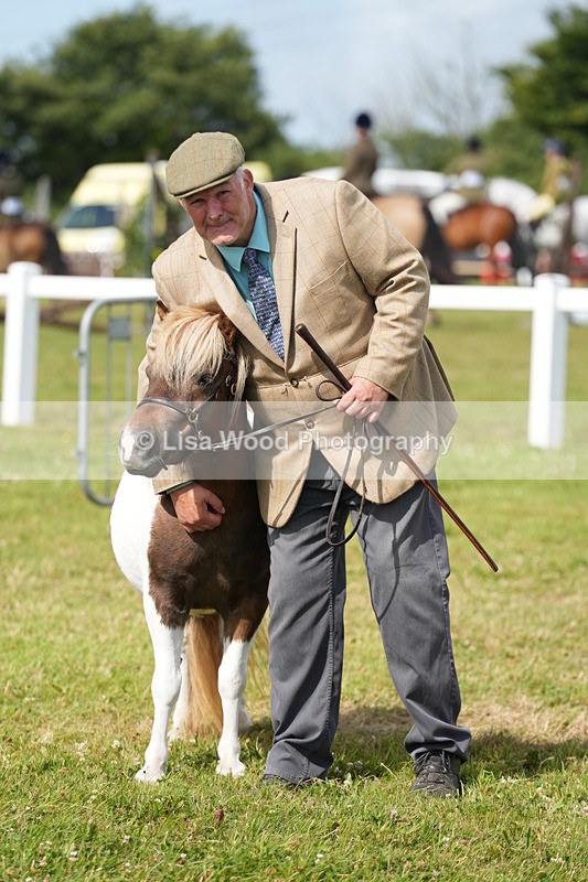 DSC05364 - Class 49: NPS Shetland 4 years and over