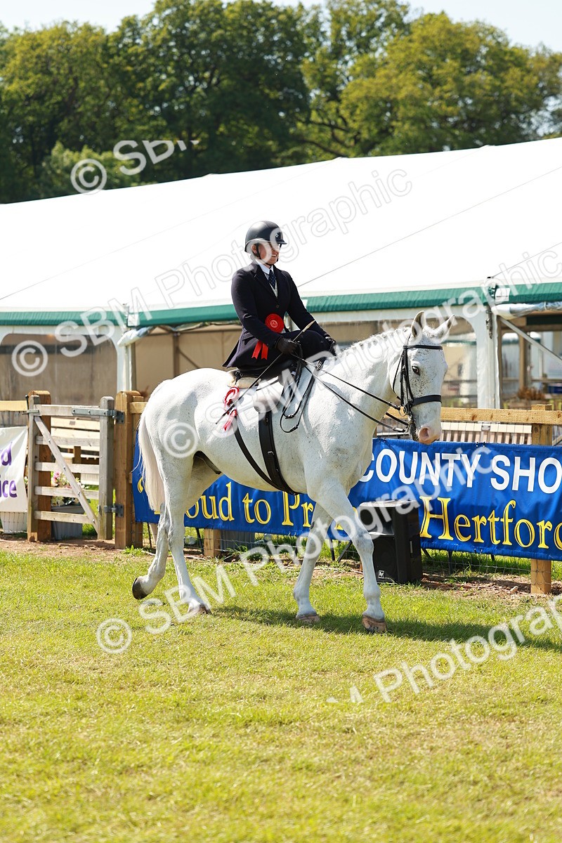 SBM_13429 - Class 70-71 - Side Saddle