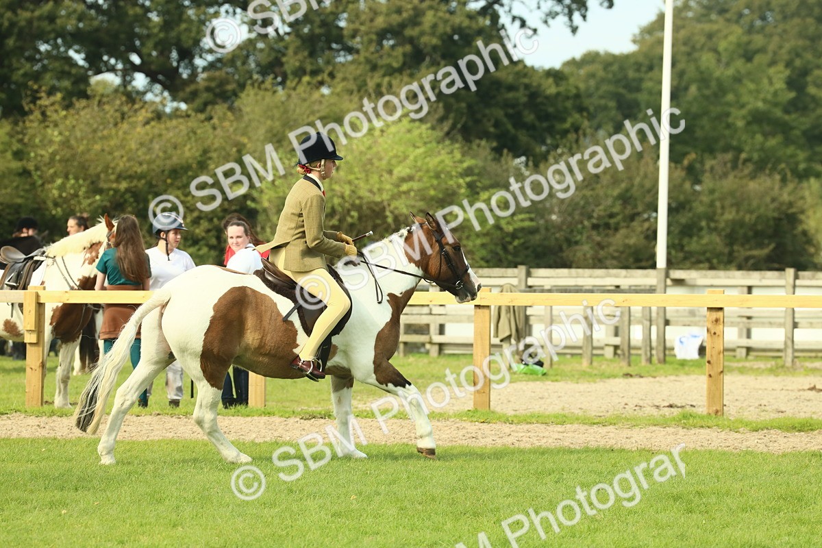 SBM_68124 - S57 - Part Bred Pony Ridden