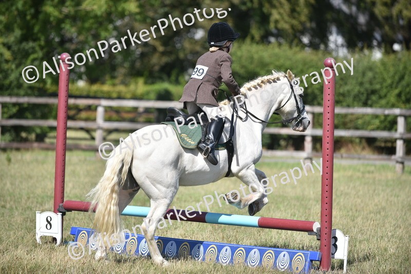 20260906-1708 - Class 9 - Absolute Novice Jumping 45cm