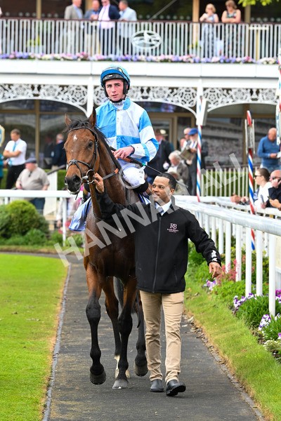 150525-Pride Of Arras-4765 - Race 4 3.45pm Al Basti Equiworld Dubai Dante Stakes