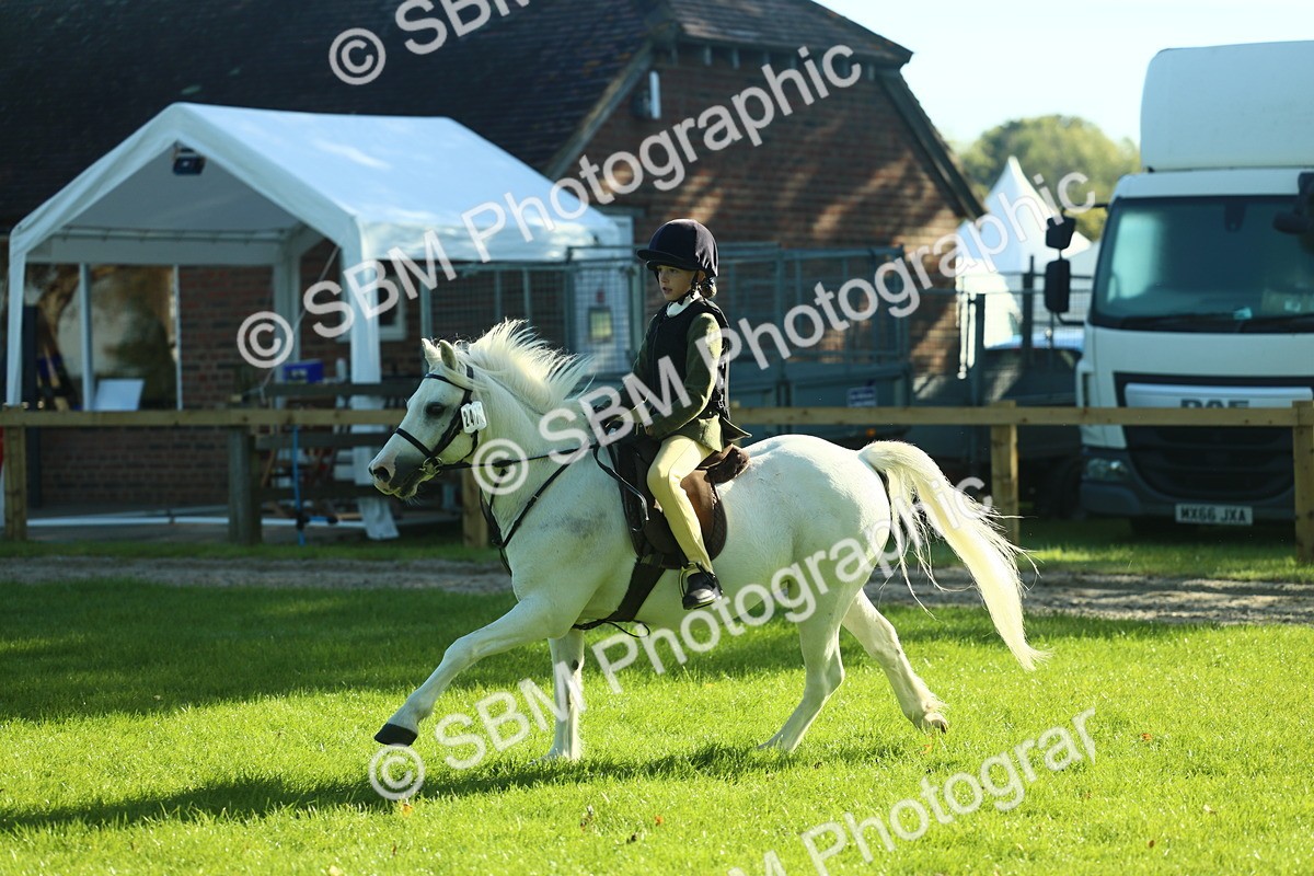 SBM_36388 - S29 - Novice & Newcomers Working Hunter Pony