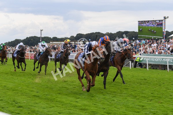 250823-Race 3-Lake Forest-0494 - Race 3 3.00pm Al Basti Equiworld Dubai Gimcrack Stakes
