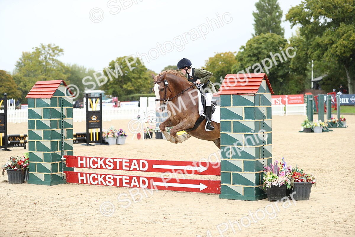 SBM_37196 - J20 - Junior Horse 50cm Championship
