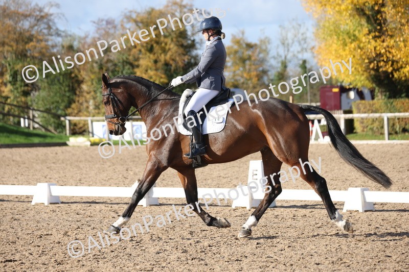 20251102-1042 - Class 5 - Elementary 5