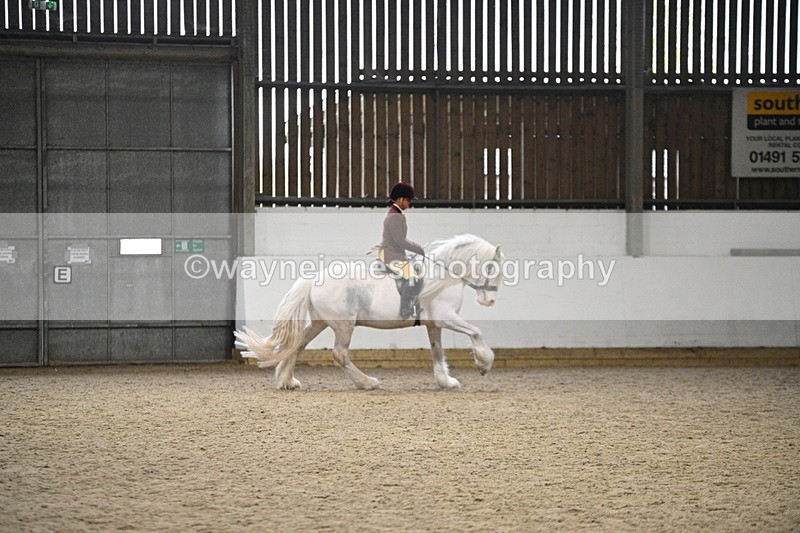 WJ7_3739 - Class 16 Ridden Coloured/ Odd Coloured