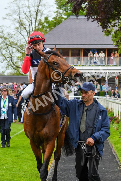 180523-Race 3-Croupier-0423 - Race 3 3.00pm Sky Bet Hambleton Handicap