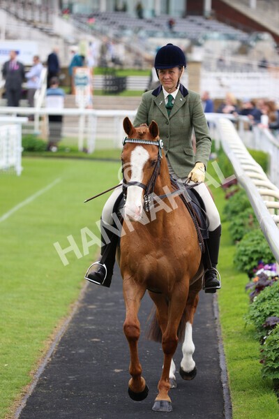 yr22052022r8e-116 - ROR - Parade Ring York
