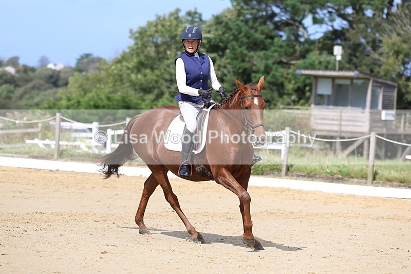 3E7A4018 - Class 9: Novice 6 Section B Championship