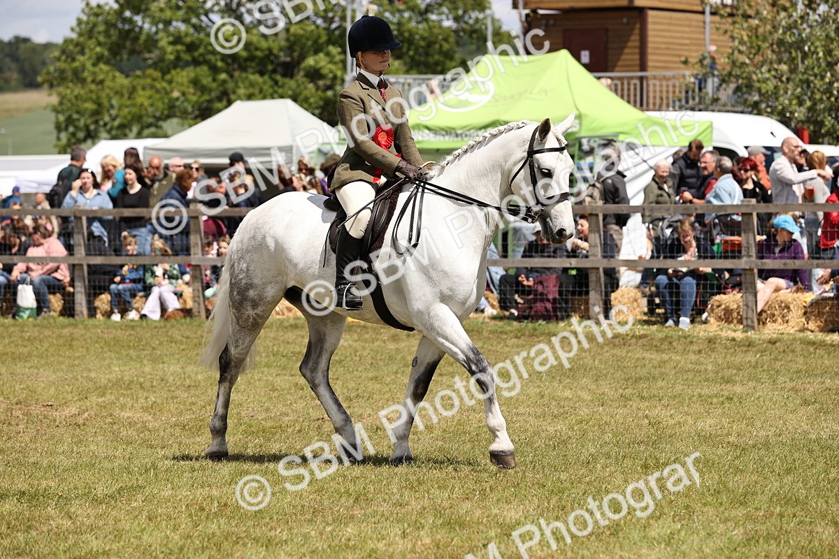 SBM_14774 - Class 88-89 - LIHS BSHA Rising Star of Ridden Hunter Type