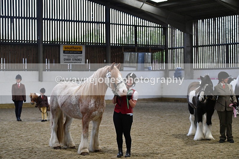 WJ5_5153 - Class 7 In hand coloured / odd coloured