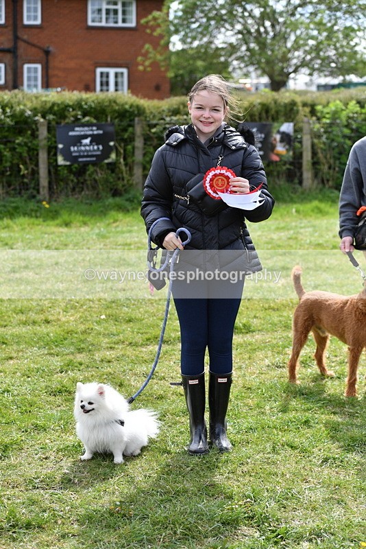 WJ5_9858 - Class 3 Most Handsome Dog