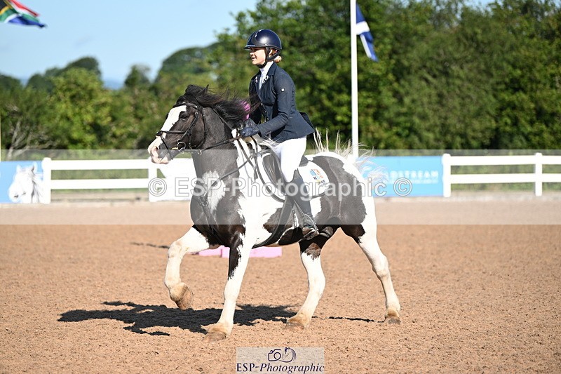 240728A-090325-07454 - Cls 33 Snr British Novice and 90cm Open