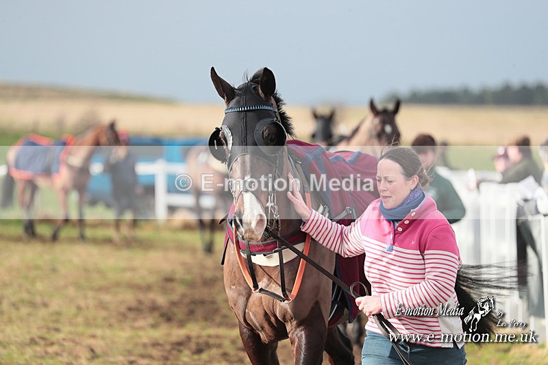 PtP 311223 12 - Larkhill Racing Club Point-to-Point 31/12/23