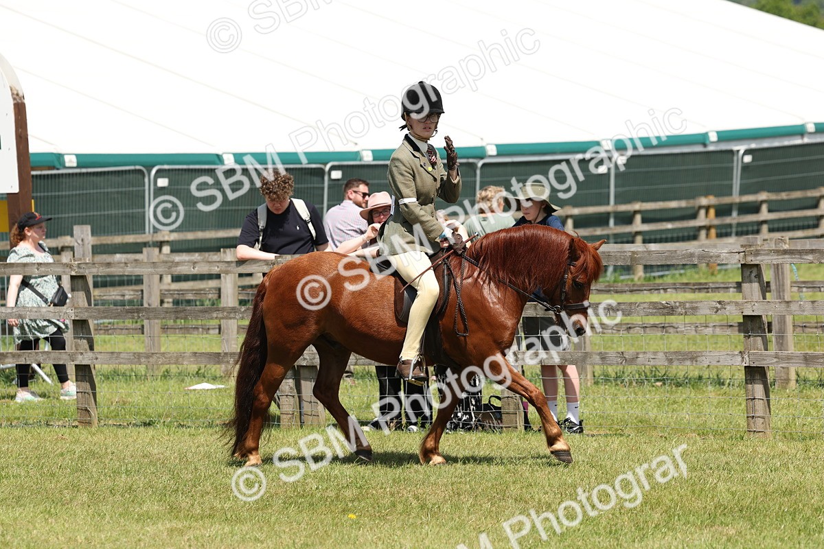 SBM_06814 - Class 26-30 - Mountain and Moorland Ridden