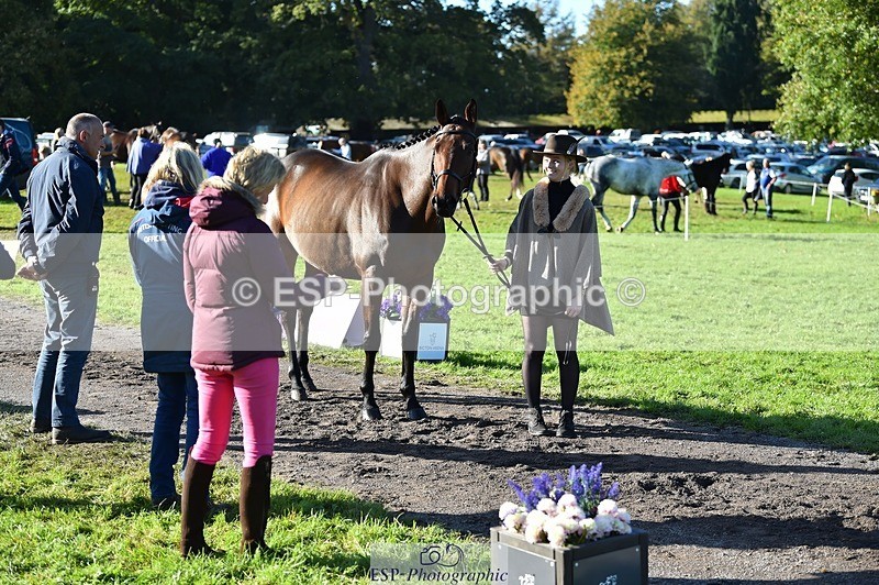231022-105648-23611 - 501-LA.BASS-Aimee.Bickley-TrotUp+SJ