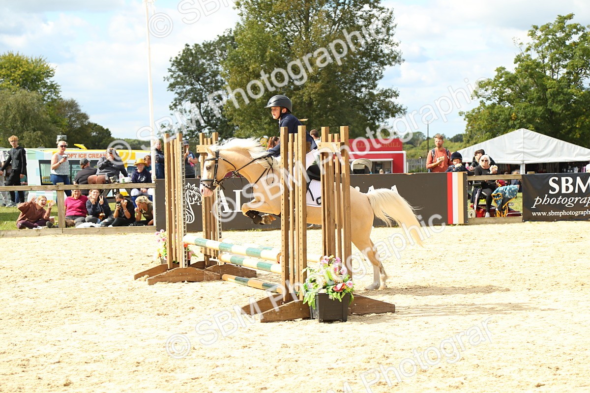SBM_41435 - J6 - Junior Pony 55cm Championships