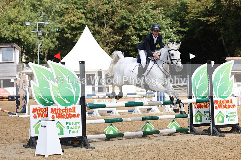 3E7A9192 - Class 9: Senior British Novice/90cm open