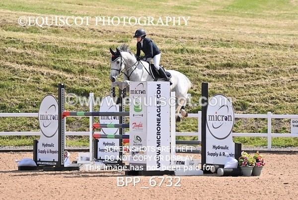 BPP_6732 - CLASS 13 FRI HOYS Talent Seeker Qualifier Inc 7 Year Old Horse Championship Qualifier