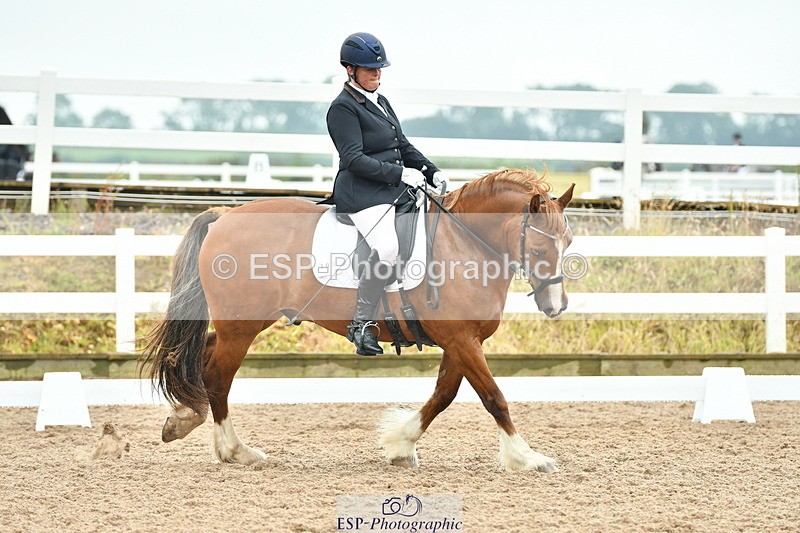 230708A-135355-02864 - Elementary 43