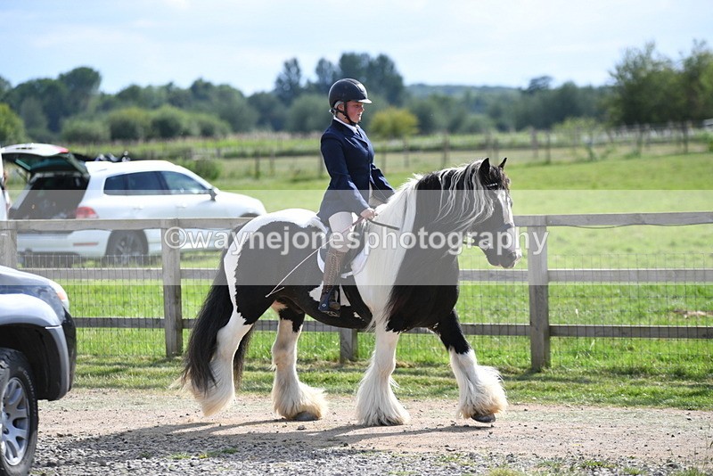 WJ5_7927 - Time 16:56 to 17:14