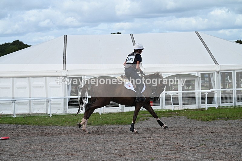 WJ7_1636 - Time 12:34 to 13:16