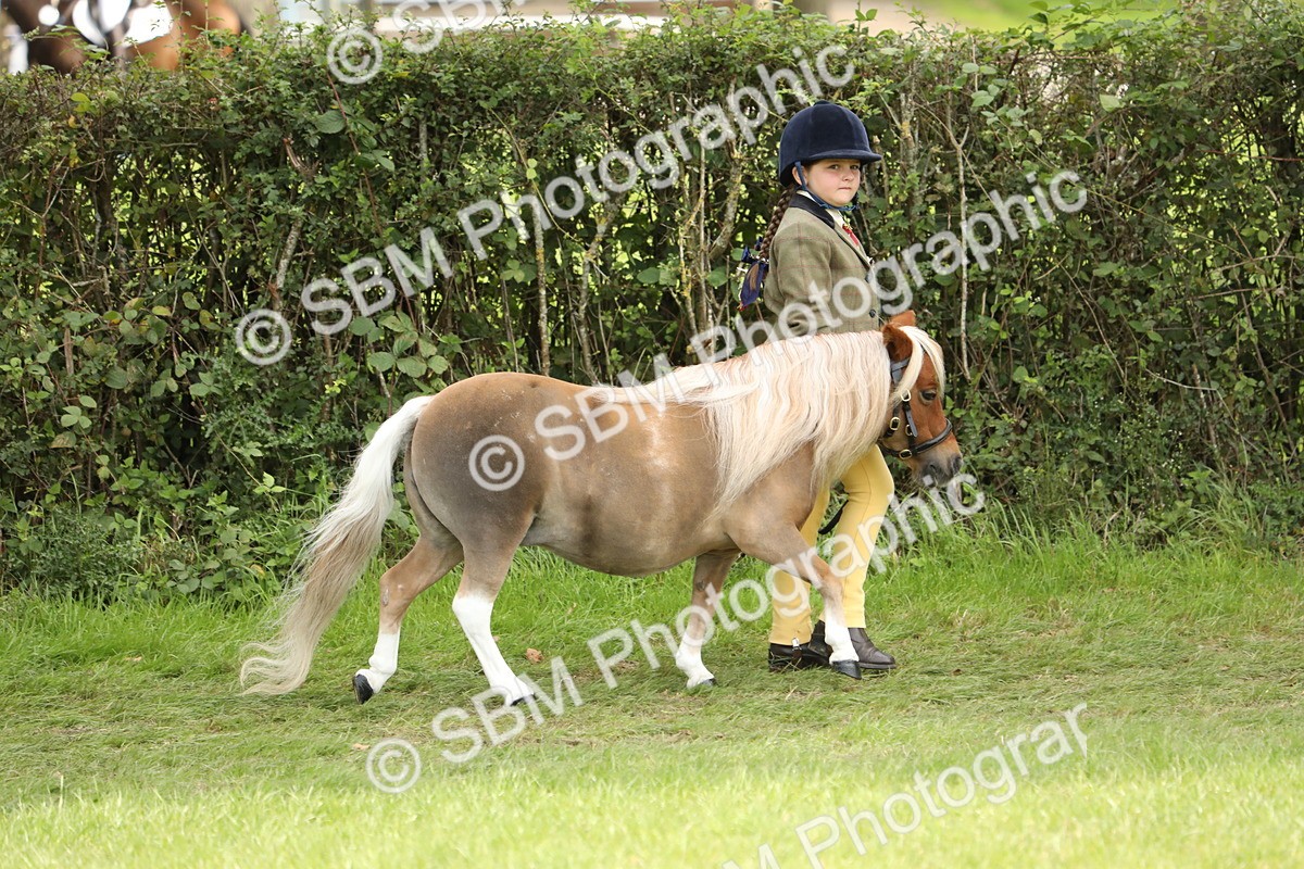 SBM_67671 - S39 - Junior Handler 8  Years & Under