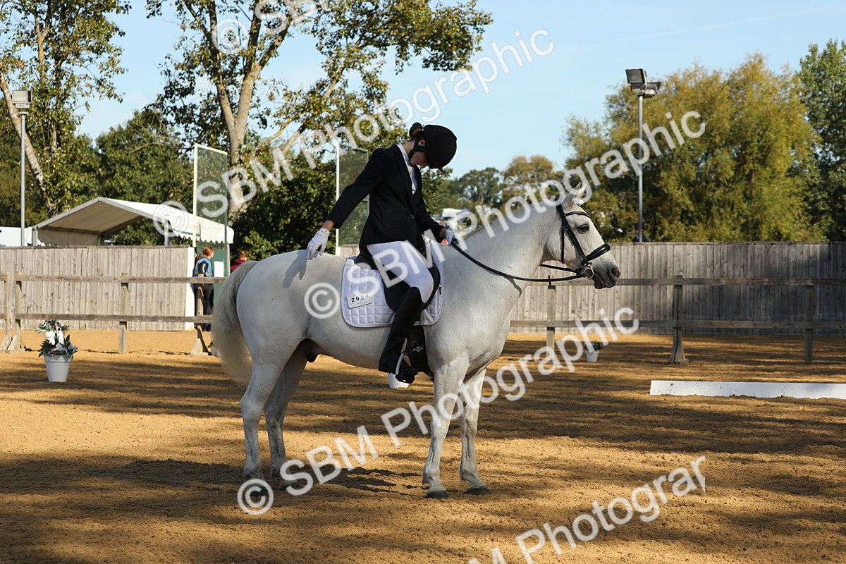SBM_38031 - D21 - Junior Championship - Intro A