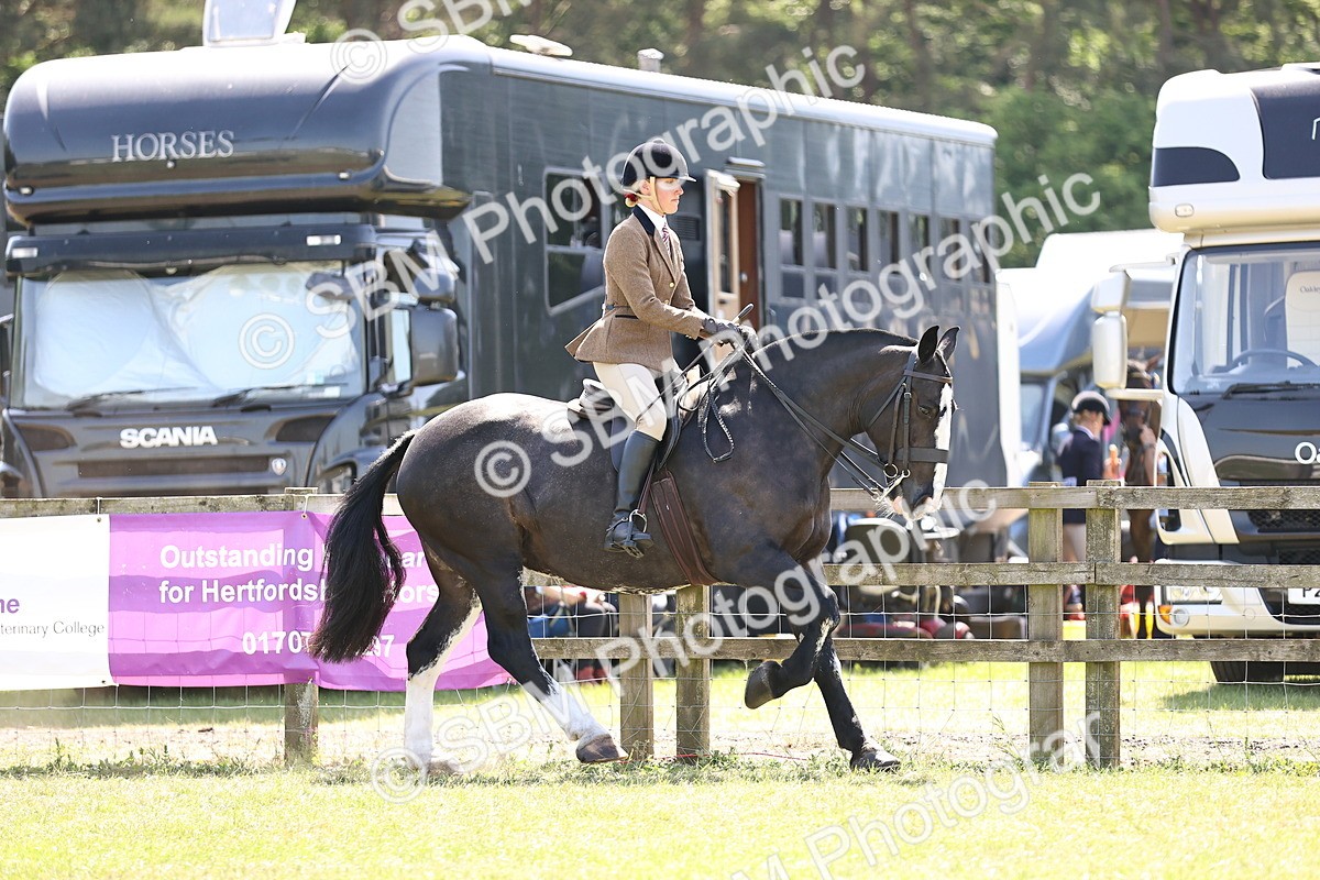 SBM_17832 - Class 81-83 - TSR Ridden Amateur of the Year - Horses