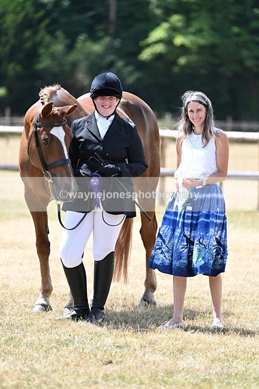 WJ7_2061 - Class 4a Prettiest Mare 14.2hh and over hand