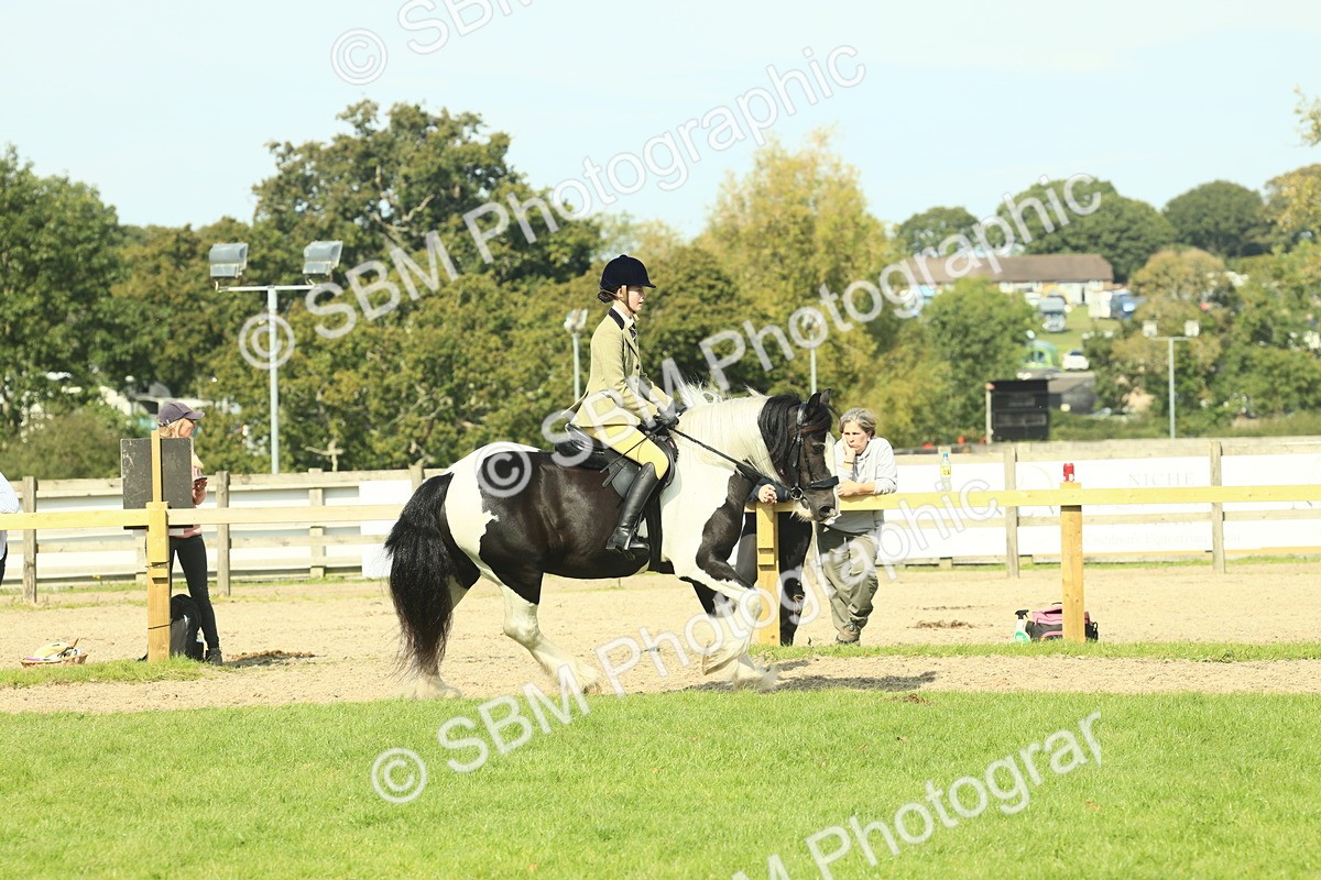 SBM_67604 - S56 - Coloured Pony Ridden