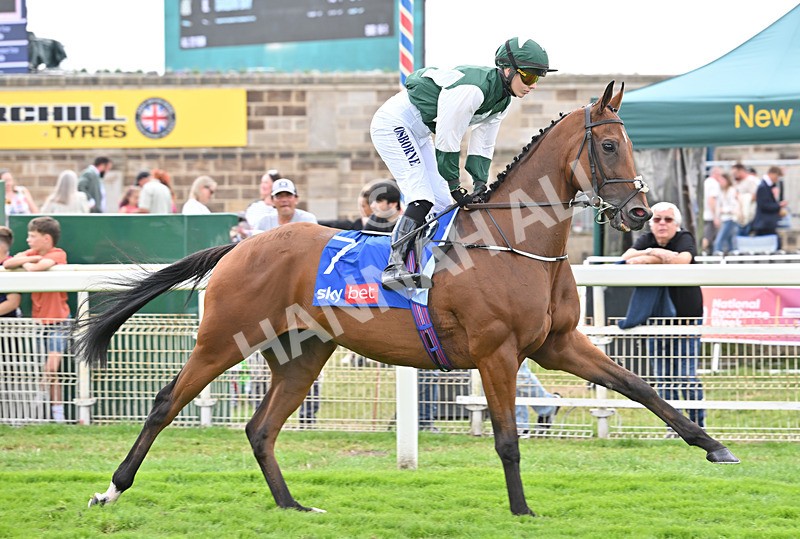 220826-183 Mr Hollywood - Race 4 15.35pm Sky Bet Ebor Handicap