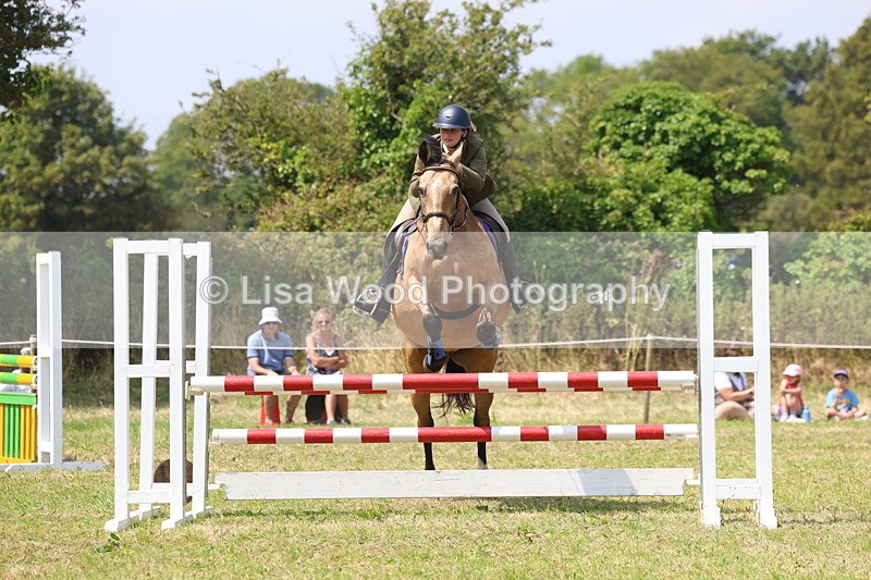 3E7A2990 - Class 7: Senior British Novice/90cm open