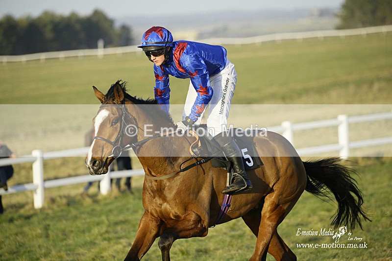 PtP 270222 730 - South & West Wilts Point-to-Point Larkhill 27/02/22