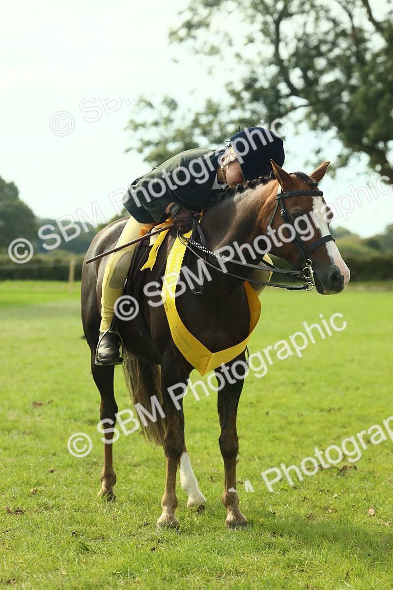 SBM_68153 - S57 - Part Bred Pony Ridden