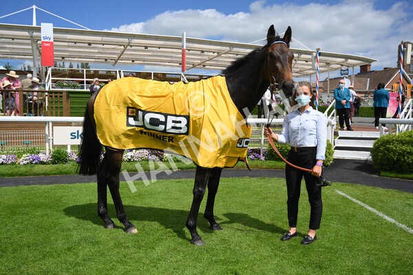 yr12062021r2-44 - Race 2 2.35pm The JCB Stakes