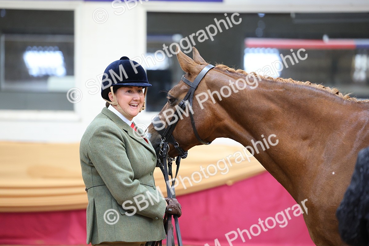 SBM_22750 - Class 903 - Supreme Final - IH Pre Vet