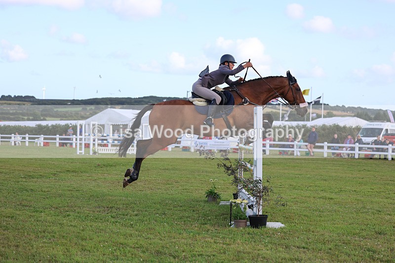 3E7A4724 - Class C1: Showjumping Senior Newcomers/1.10m open