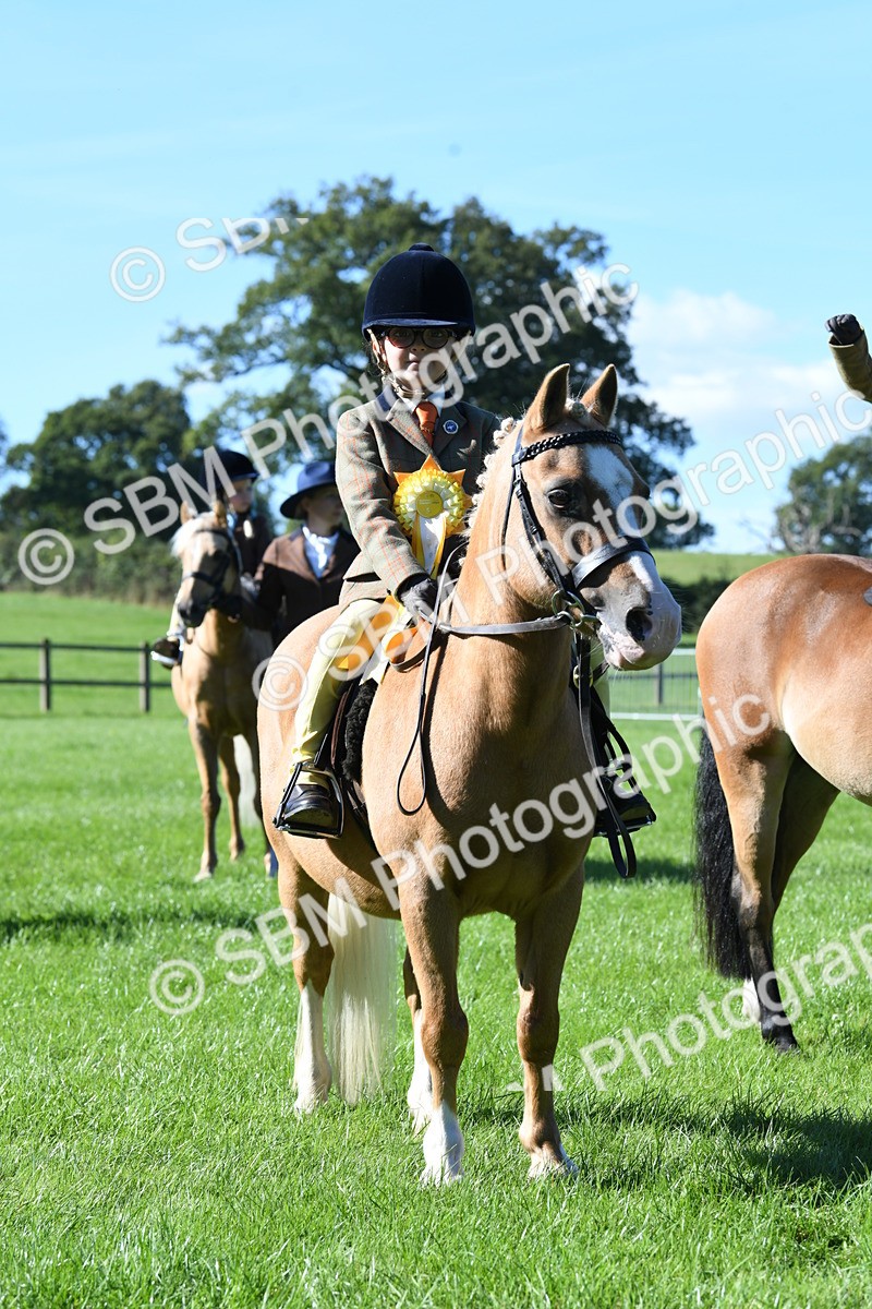 SBM_37052 - S18 - Novice & Newcomers Lead Rein Pony