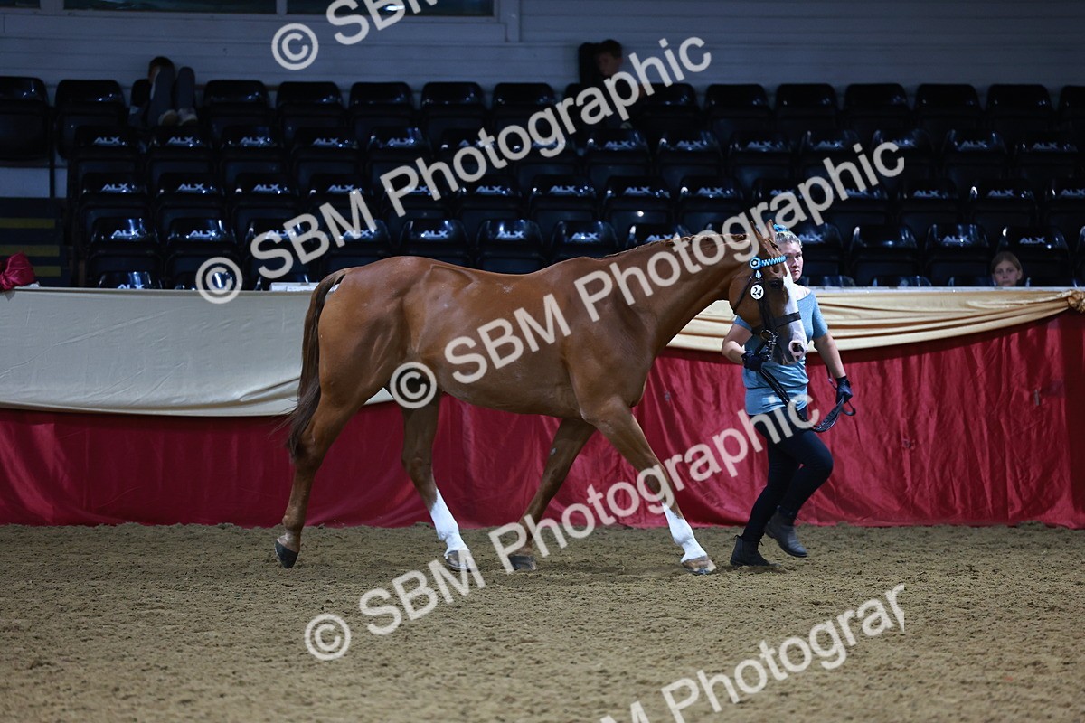 SBM_22335 - Class 902 - Supreme Final - IH Diamond