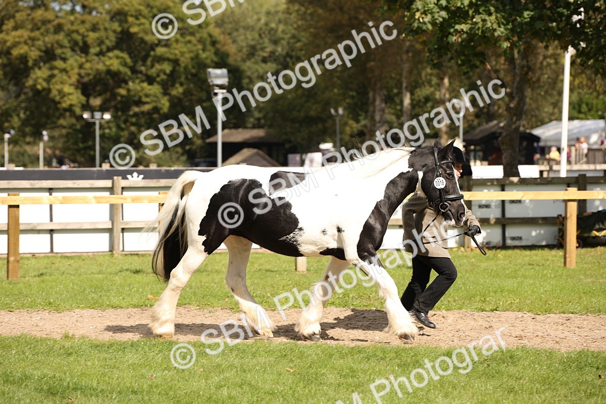 SBM_44409 - S24 - Young Veteran in hand