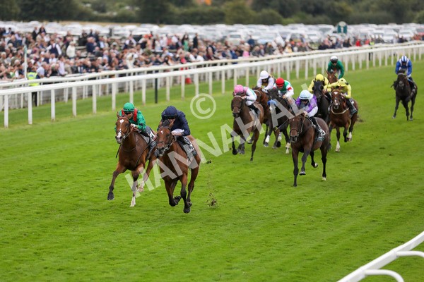 210824-Race 4-City Of Troy-7294 - Race 4 3.35pm Juddmonte International Stakes