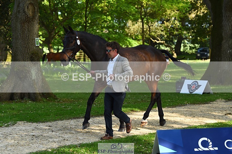 230524-165058-01129 - 119-AUTOGRAF-Simon_Grieve-WEDTrotUp+DR