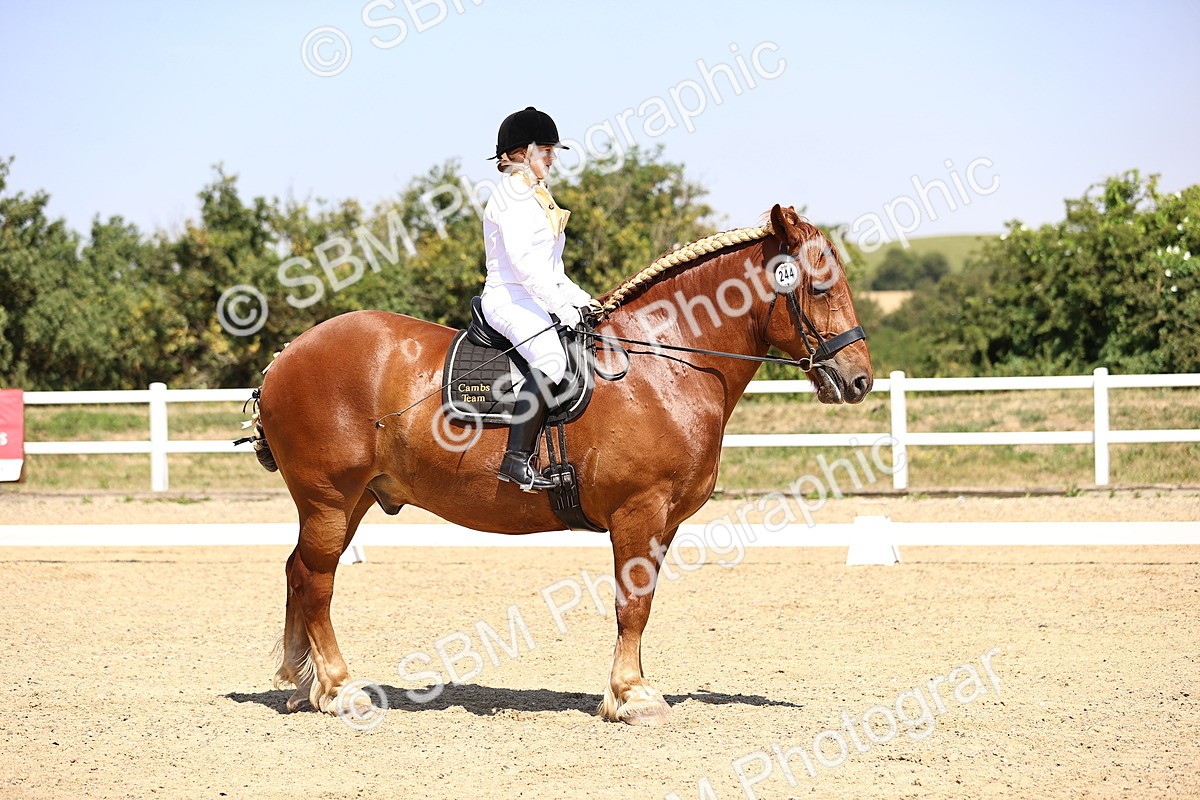 SBM_004140 - Intro 2